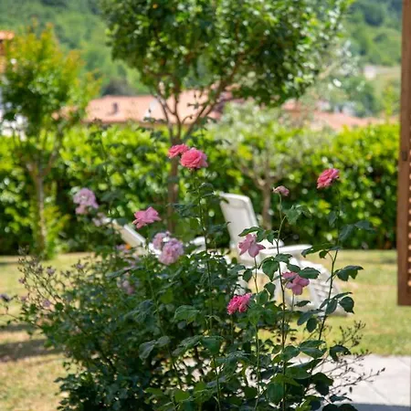 La Casetta Casa vacanze *